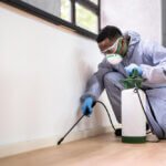 Stratégies efficaces pour une dératisation sans danger pour l&rsquo;environnement 