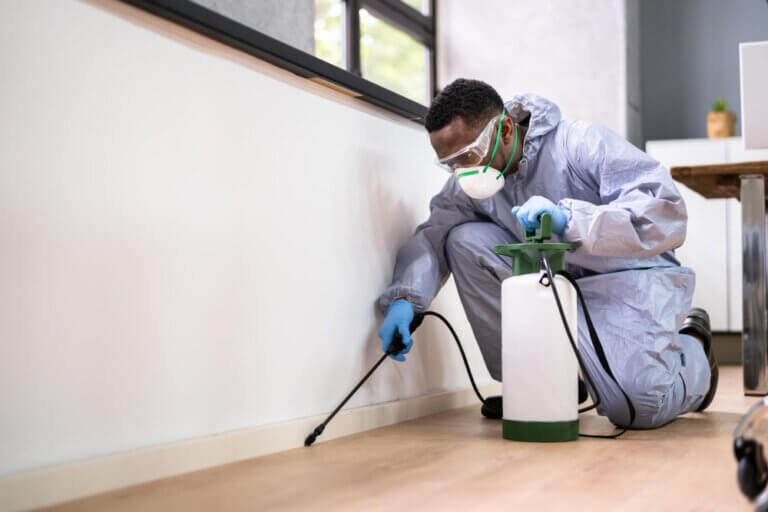 Stratégies efficaces pour une dératisation sans danger pour l’environnement